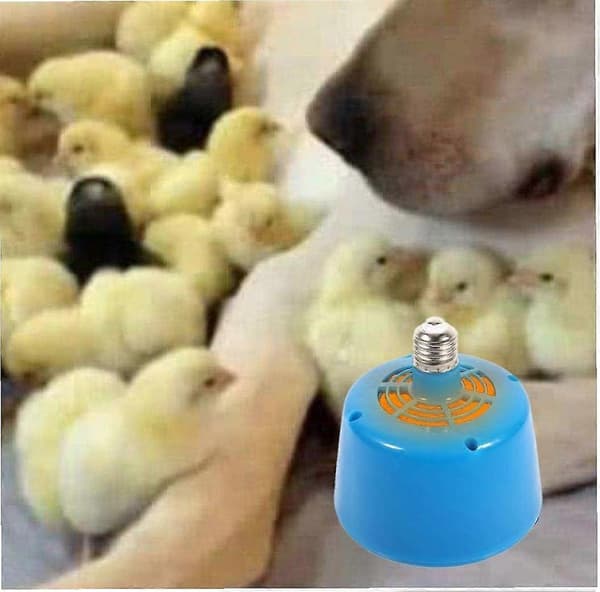 Animal Brooder Heat Lamp Chicken Coop, Even Heating Brooding Lamp with Body-Friendly Warmth, Flame Retardant Shell for Long-Lasting Use