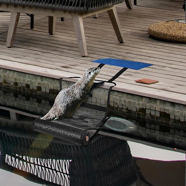 2 st Djurräddningsramp för Pool, Flytande Ramp Räddar Djur, Poolräddningsramp för Djur, Poolramp för att Rädda Grodor, Fåglar, Ankor
