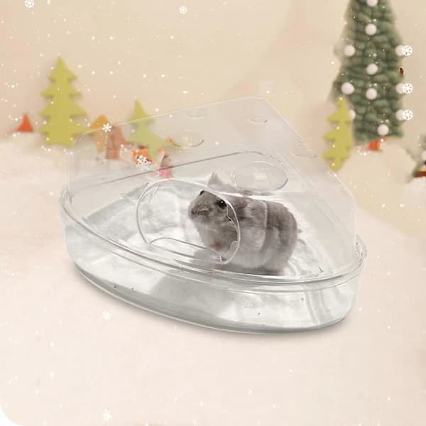 Hamster Sandbad Behållare Badhus Pool För Möss