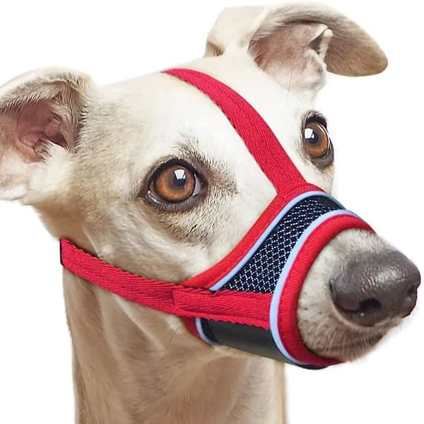 Hundmunkorg Hund nosgrimma RÖD M medium M