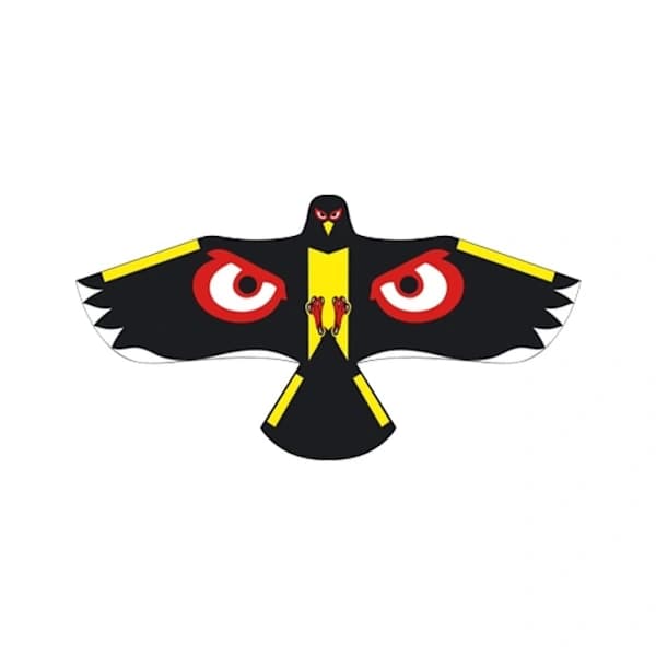 Eagle Drakfluga Fugl Drage TYP D TYP D Type D