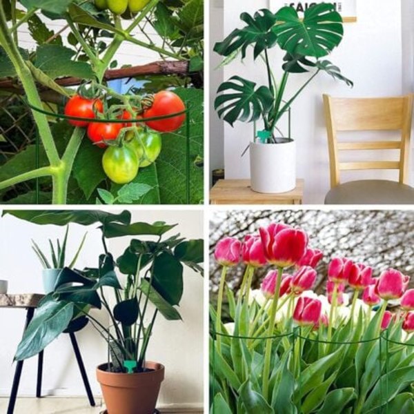 Pakke med 10 halvcirkelformede plantestøtter til grønne planter, for at fremme væksten af dine planter - Støtter til hortensiaer, pæoner og stauder (25c