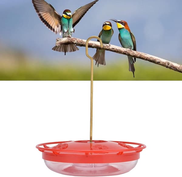 Hængende foderbræt til fugle med gennemsigtig frøbakke, holdbart plast-foderbræt til vilde fugle til have, terrasse og altan, rød 20 cm