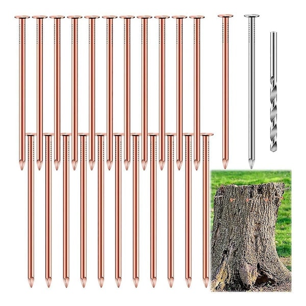 25 stk Kobberspiker for Avliving, 8,9 cm Ren Kobberspiker i Bulk, Stubbfjerningsspiker Maskinvare Spiker for
