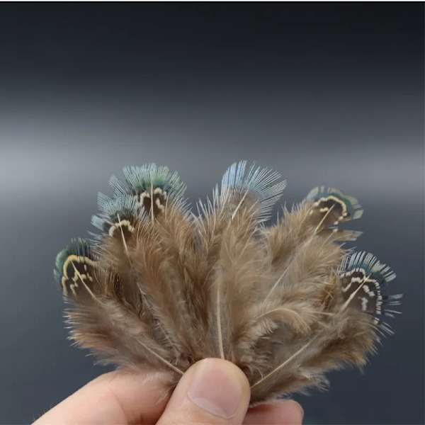 4 valgfrie stilarter Ringneck Fasan Fjer fluebindingsmaterialer 20 stk. fasanvingefjer sadel tippet hvid plet kropsfjer