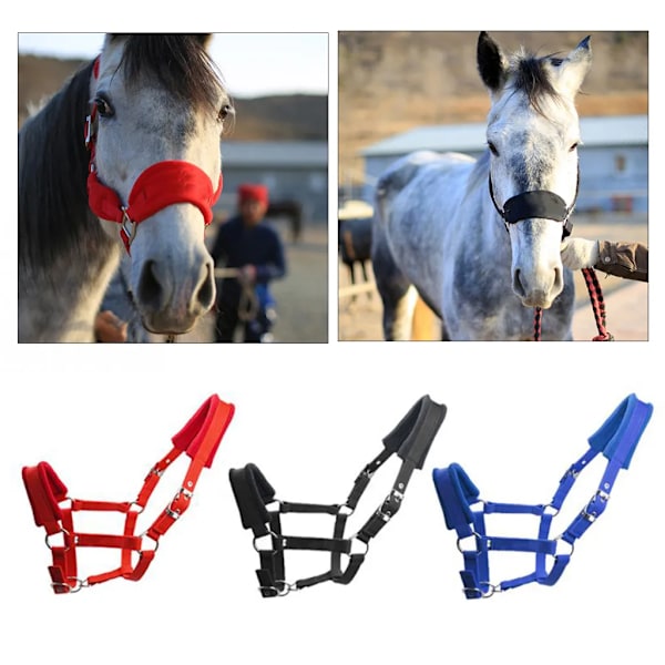 Myk Polstret Ponni Heste Halter Hodelag Hodelag Hodekrage Hesteridning Stall Hestehodelag Tilbehør Western