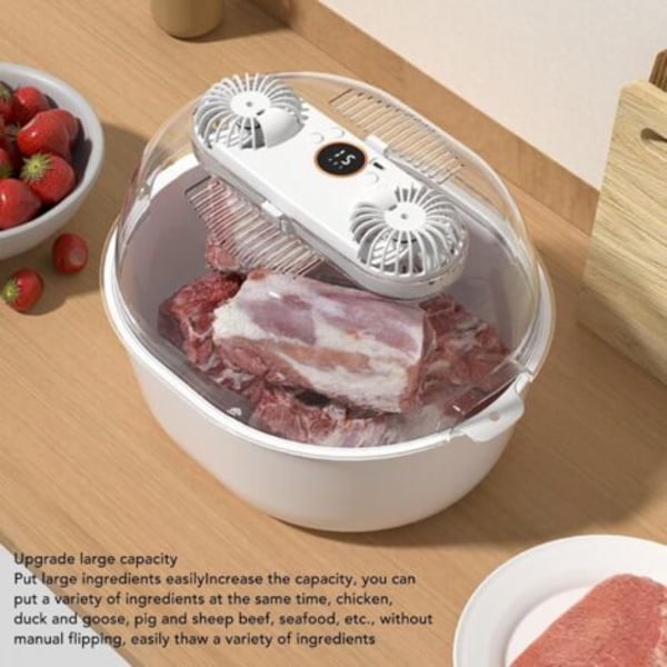 Hushålls Defrosterbox, 360 Graders Snabb Defroster, USB-Laddning Effektiv UV-Defrostermaskin för Fryst Kött, Kyckling, Fisk, Biff