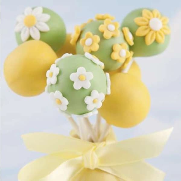 Silikonform Cakepops med 20 pinner | Kaker og Klubber[pl]