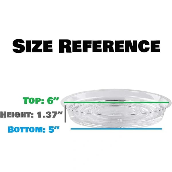Transparenta Plastunderlägg för Växter - 20-pack, 15 cm