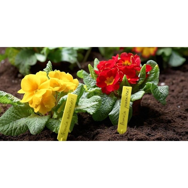 20-pack Växtetiketter - 130 x 17 mm - Etikettområde - Väderbeständigt Material - Gul - för Växter - för Örter