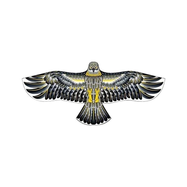 Eagle Drakefluga Fugl Drage TYP D TYP D Type D