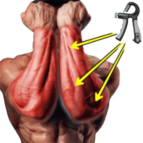 Handheld Grip Trainer - Grip Trainer with Counter - Adjustable Resistance 5-60 kg