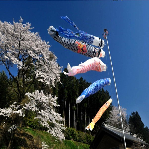 XJ-Bluelover 1 Set 5 st Japansk flaggkarp Karp Bannires Windsock Sailfish Koinobori Vent Streamer Flerfärgad fisk (YJD)