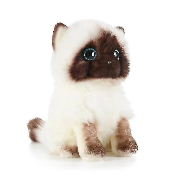 Söpö Ragdoll-kissa pehmolelu