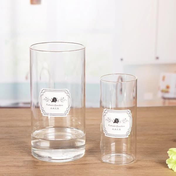 Sylindervaser Glassvase 10*10CM 10*10CM 10*10cm[XJ]