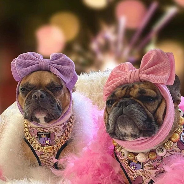 XJ-Hundehovedbånd Elastisk Roset Hovedbeklædning Hundeørebetræk Julekostume Til Lille Hund Stor Hund Og Katte