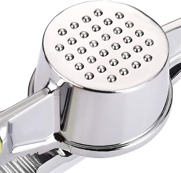 Professional Stainless Steel Garlic Press with Comfortable Handle
