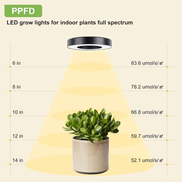 LED-plantegrowlight, fuldspektrum, 144 LED'er, dæmpbar med 4/8/12H timer, USB 5V, til små indendørs planter, sort, 19x12x4cm