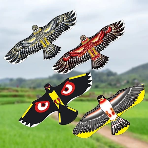 Eagle Drakefluga Fugl Drage TYP D TYP D Type D