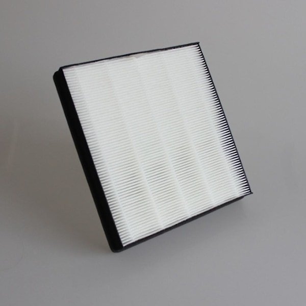 Passer til renser De5206 De5205 renser Hepa filter Hepa filter Fy1119