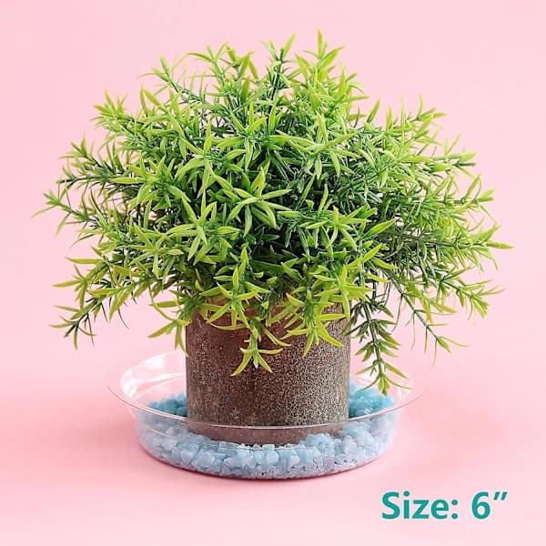 Transparenta Plastunderlägg för Växter - 20-pack, 15 cm