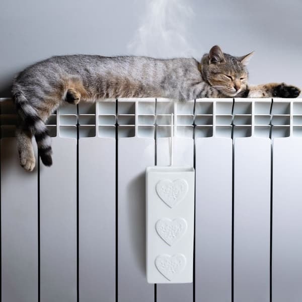 XJ-Keramisk Luftfukter for Radiator med Hjertemotiv