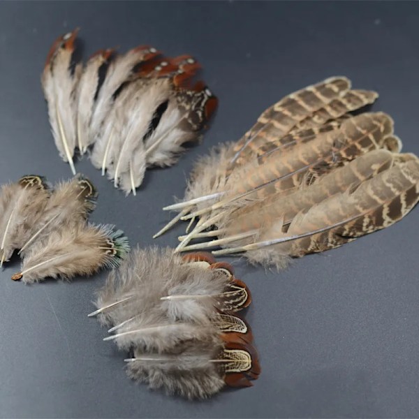 4 valgfrie stilarter Ringneck Fasan Fjer fluebindingsmaterialer 20 stk. fasanvingefjer sadel tippet hvid plet kropsfjer