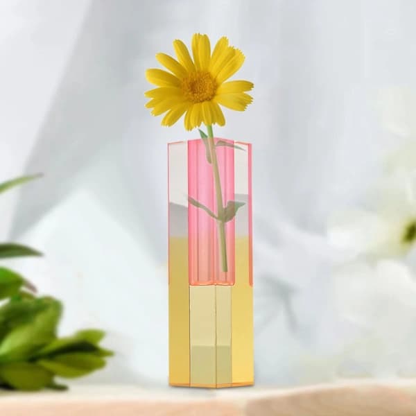 Regnbue Blomstervase Bordglas Vase Akryl De