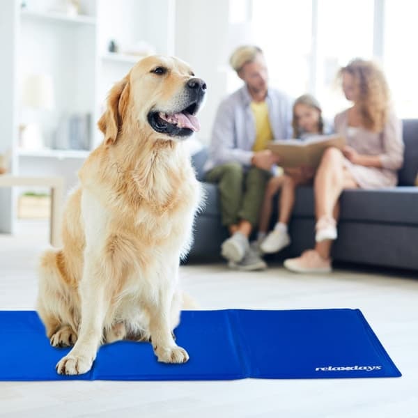 XJ-Hundmatta Blå