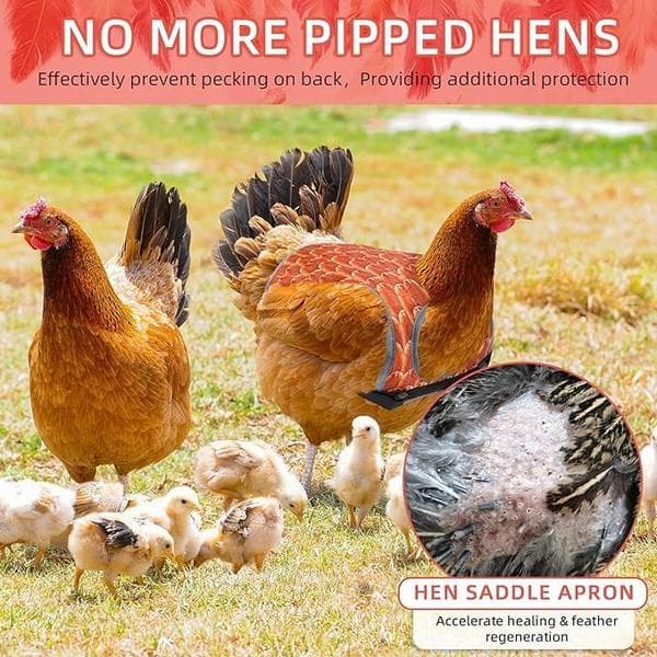 wxsp 1 pc - Chicken Protective Vest Chicken Saddle Poultry Protector - Orange-Red Waterproof