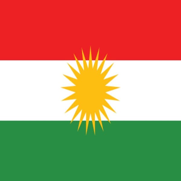 Flagg - Kurdistan 100