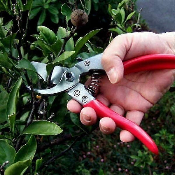 ARS-VS-8XZ Pruning Shears, Precision Cutter, Professional Garden Model, High-Quality Tool for All Plant Sizes