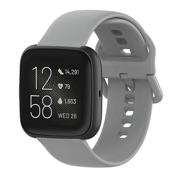 Klokkerem for Fitbit Versa 2 / Versa / Versa Lite / Blaze Gray