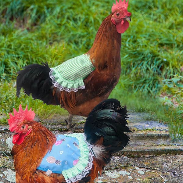 5 Pcs Adjustable Chicken Saddle, Hen Aprons, Back Wing Protector, Gift Green Plaid