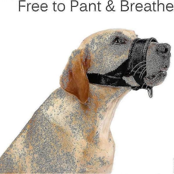 Hundemundkurv til gøkontrol med polstring