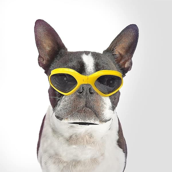 Hundebriller, Kæledyrssolbriller, UV-beskyttelse yellow