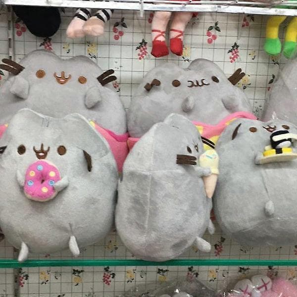 SQCLV 24cm Pusheen Snackable Cookie Stuffed Animal Plush, 9.5