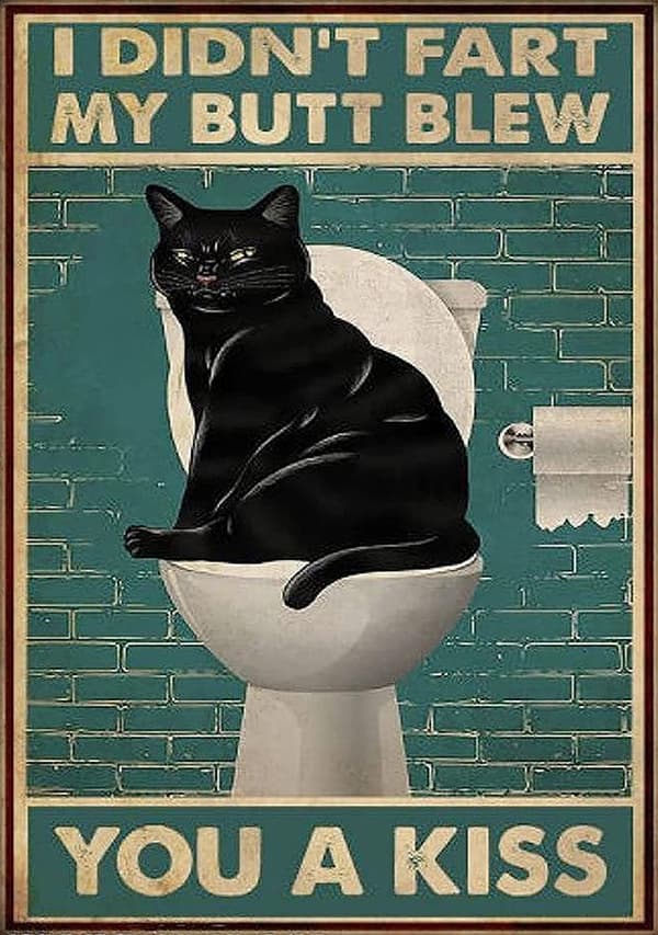 30x40CM Håndlavet 5D Kunst Diamantmaleri - Toilet Sort Kat, pasform