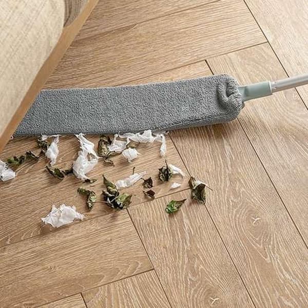Telescopic Duster 84-250 cm with 2 Interchangeable Brush Heads 380