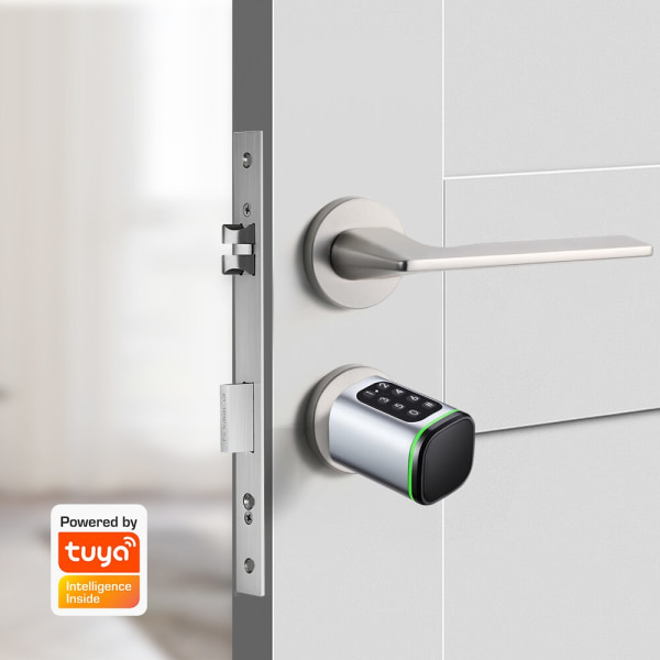 Digitalt lösenord RFID-kort Euro Bluetooth Cylinderlås Biometriskt elektroniskt smart dörrlås