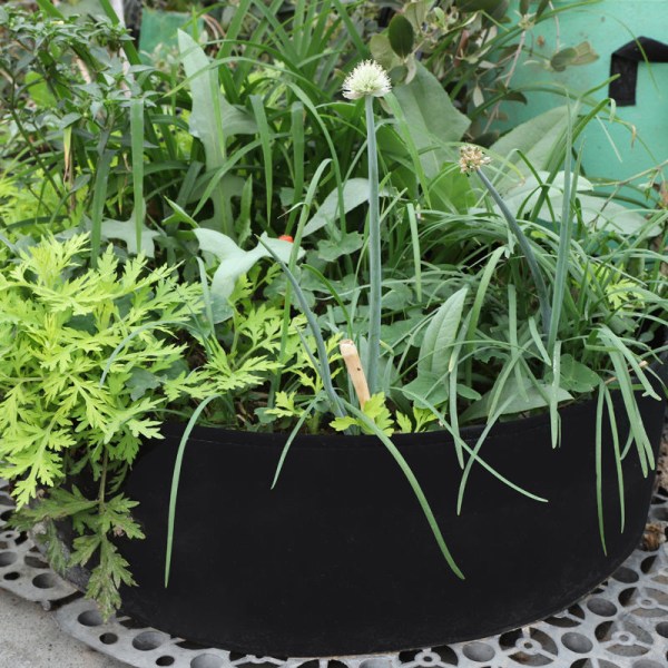 4 stk Rund Have Vækstpose Filt åndbart stof Haveplante Grow Bag Plantebeholder (sort, 50/20 cm)