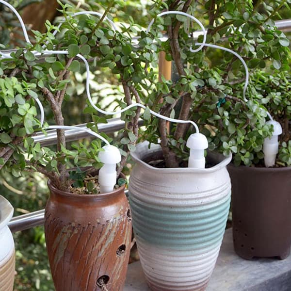 Automatisk droppvattnare blomvattnare - Flerpack-