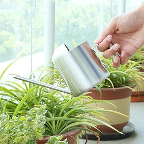 Mini vannkanne i rustfritt stål for hjemme- og kontorplanter