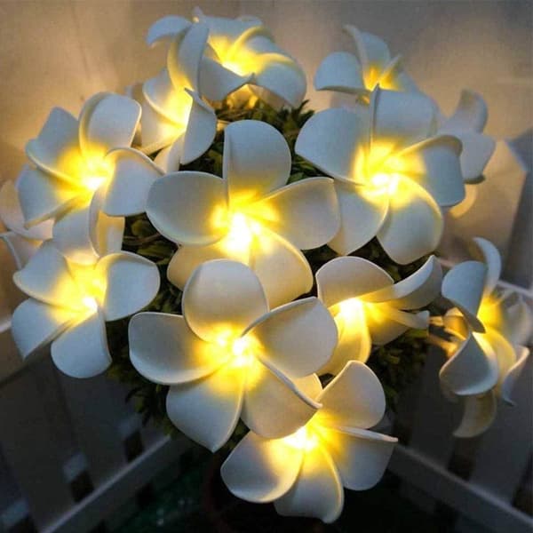 50 LED Rosa Frangipani String Lights, Foam Faux Frangipani Batte