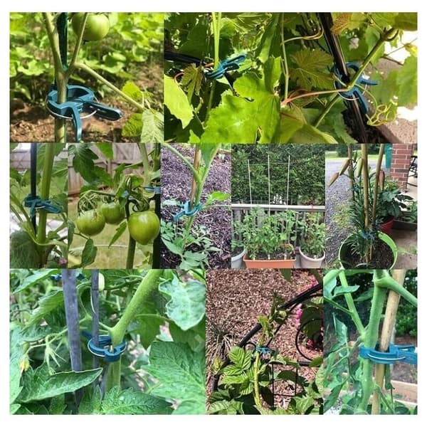 Återanvändbara tomatklämmor, 100 st.