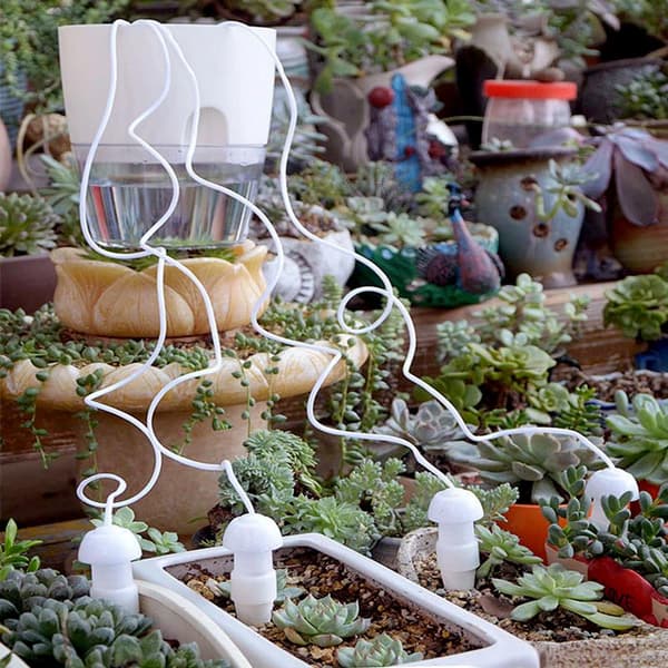 Automatisk droppvattnare blomvattnare - Flerpack-
