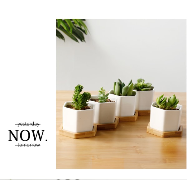 Sæt med 2 simple hvide kreative keramiske små sekskantede sukkulentplanter med bambus træbakke, geometrisk kaktus plantestativbeholder til skrivebordsfane