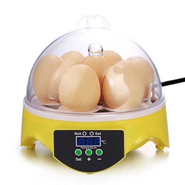 Automatisk digital inkubator kläckningsmaskin 7 ägg höna