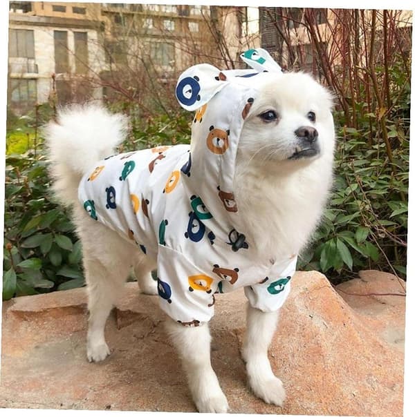 Regnfrakk til kjæledyr, Mops Fransk Klær Hund Bichon Puddel Regnfrakk，10438