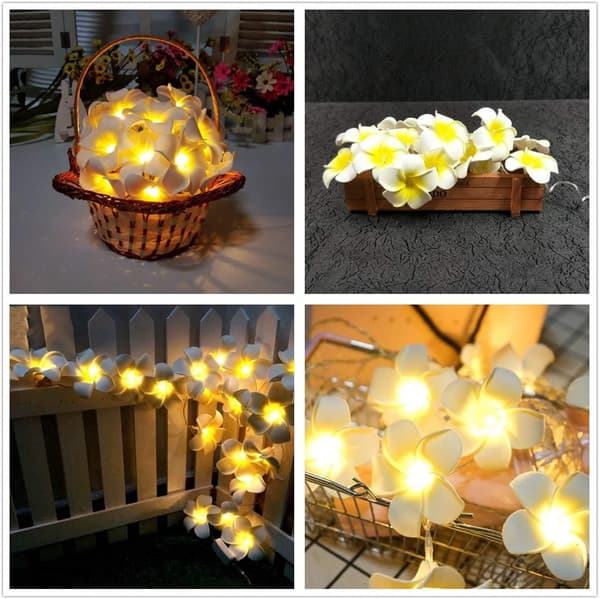 50 LED Pink Frangipani String Lights, Foam Faux Frangipani Batte